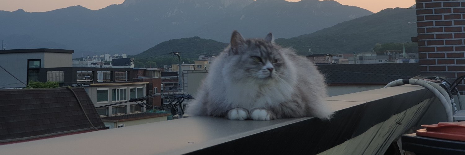 randomblbosti's profile banner image