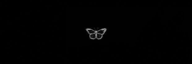 channietiny's profile banner image