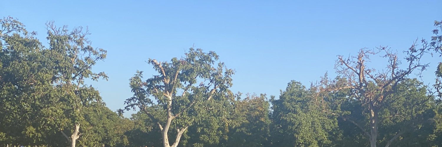 leeece22's profile banner image
