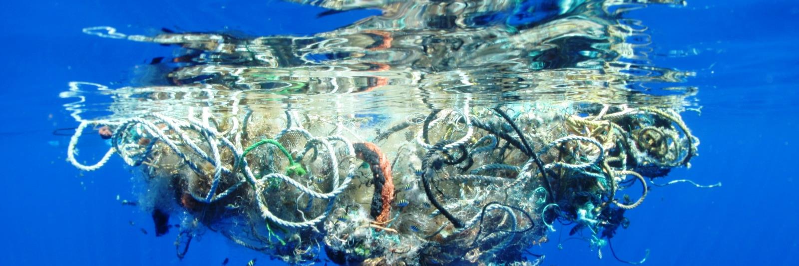 Ocean__Savers's profile banner image