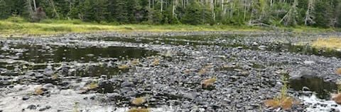 CrockerTML banner