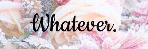 olgacastroe's profile banner image