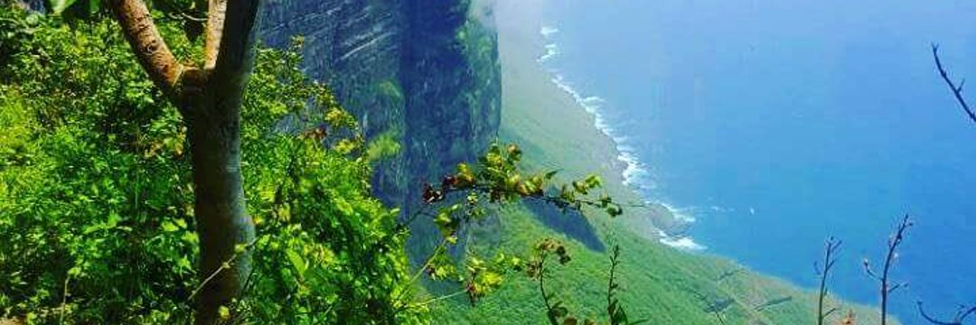 abdulrahim_1234's profile banner image