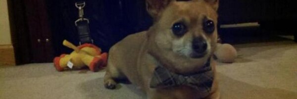 TheMattSmothers Profile Banner