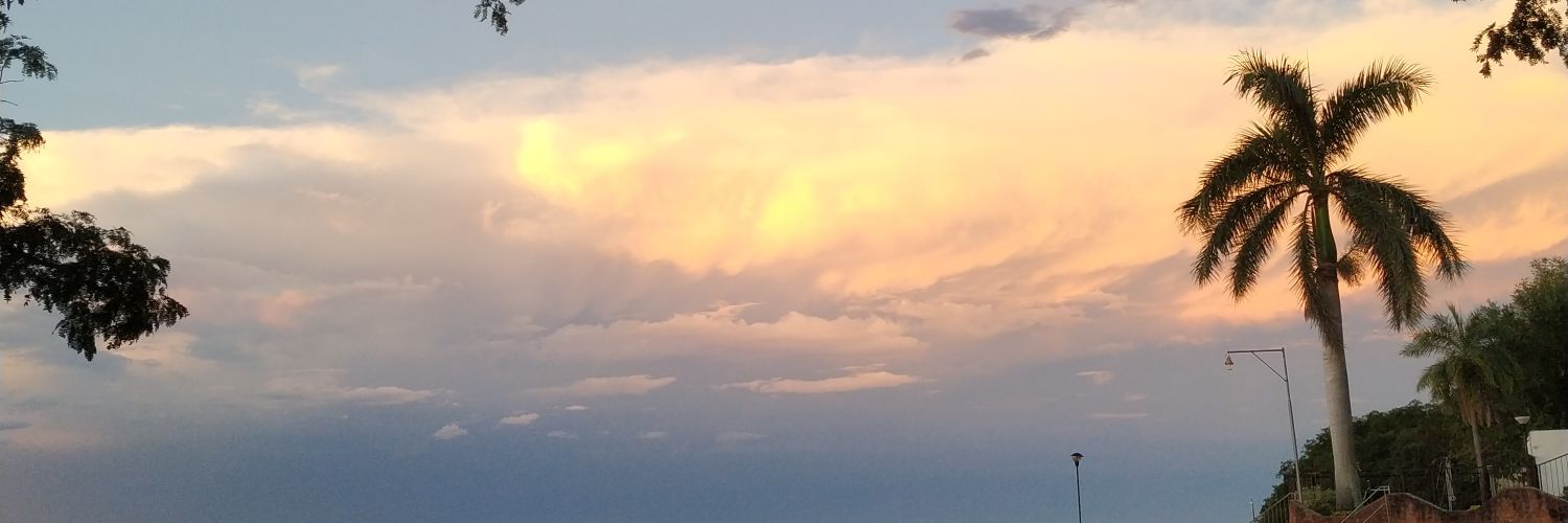 Lucila_Brito's profile banner image