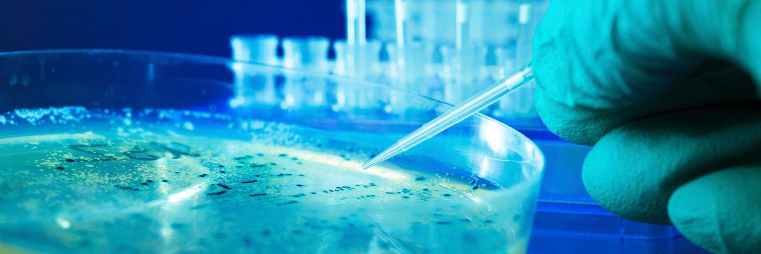 ScienceVest's profile banner image