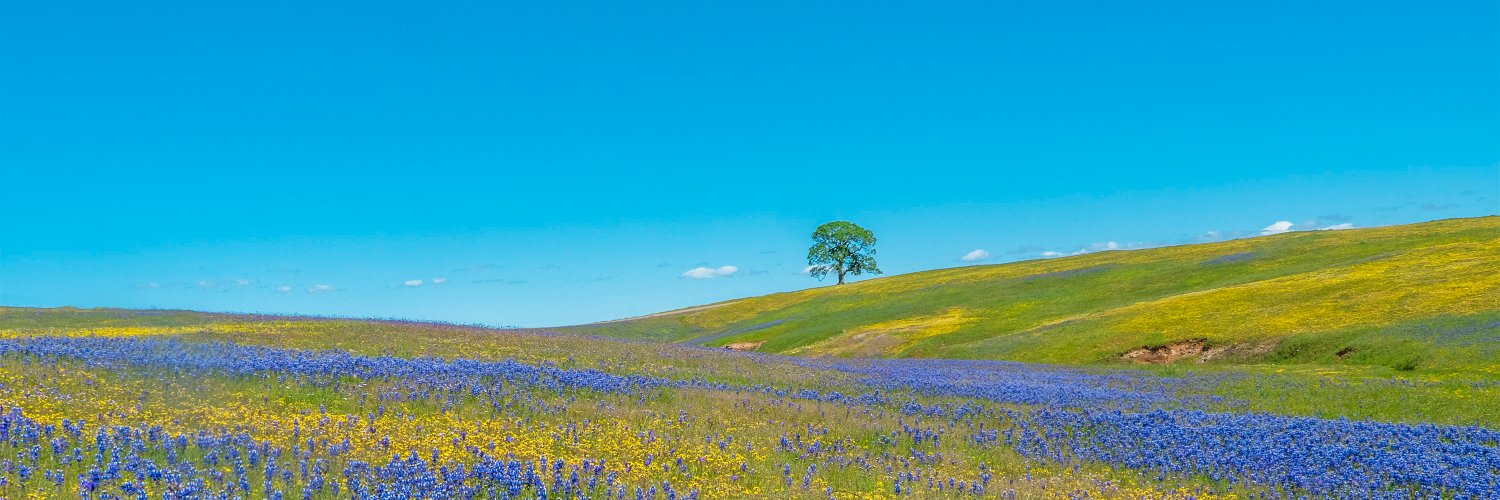 zzbennett's profile banner image