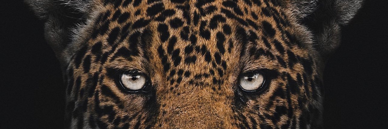 SoeBeOneSlock's profile banner image