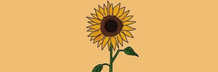 ccddnnaa_'s profile banner image