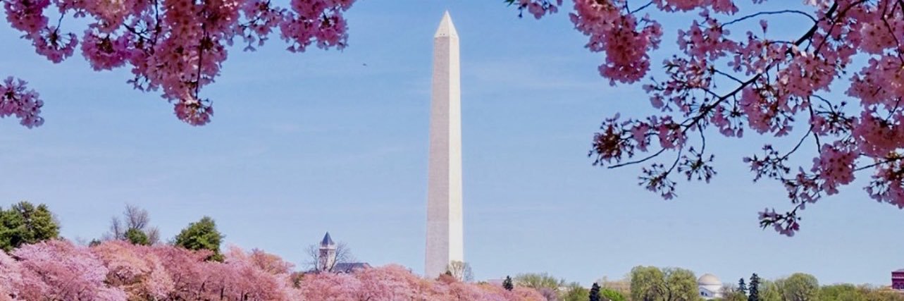 Mandy Hurd banner