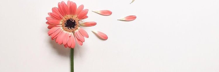 BreenOrtz's profile banner image