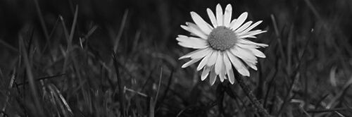 andriyanto95_'s profile banner image