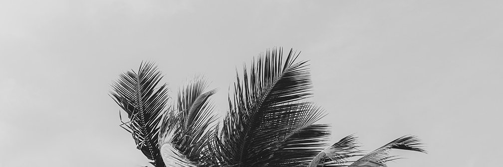SaikiaDevashish's profile banner image