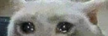 CutaioOrnella's profile banner image