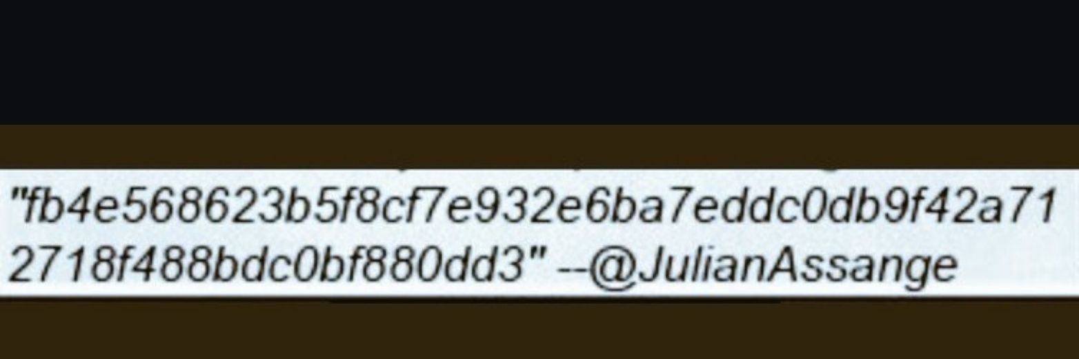 We are Julian Assange banner