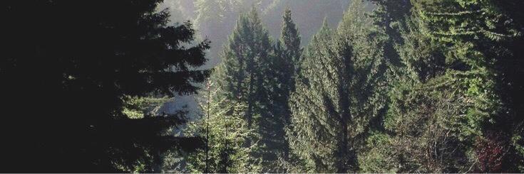 hyramgdrs's profile banner image