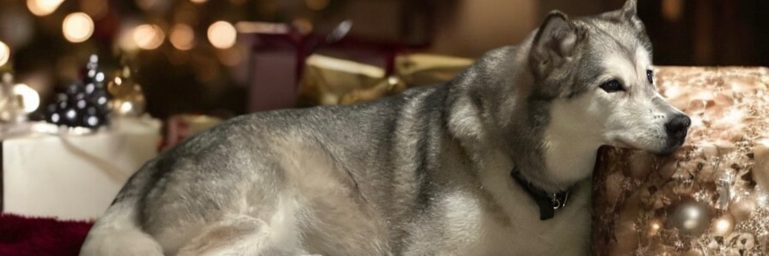 Dr. Jodi Stevens banner