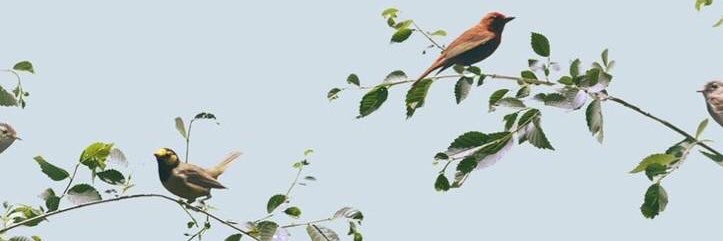 hajarali55's profile banner image