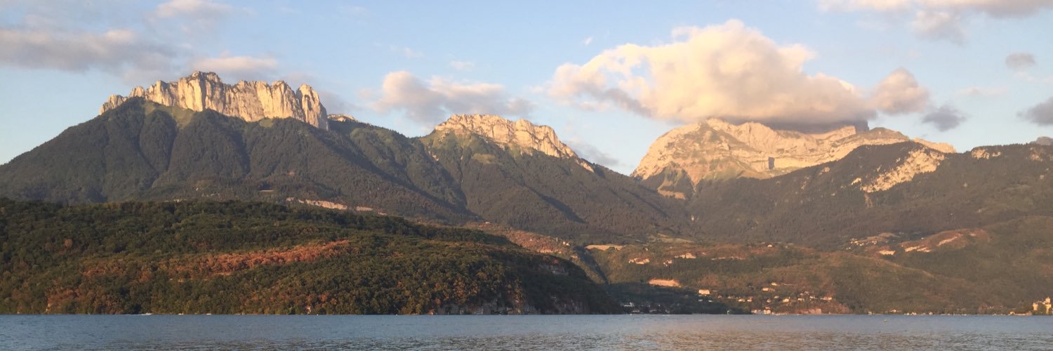 Damien Guillard banner