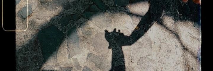 YariRodriguez42's profile banner image
