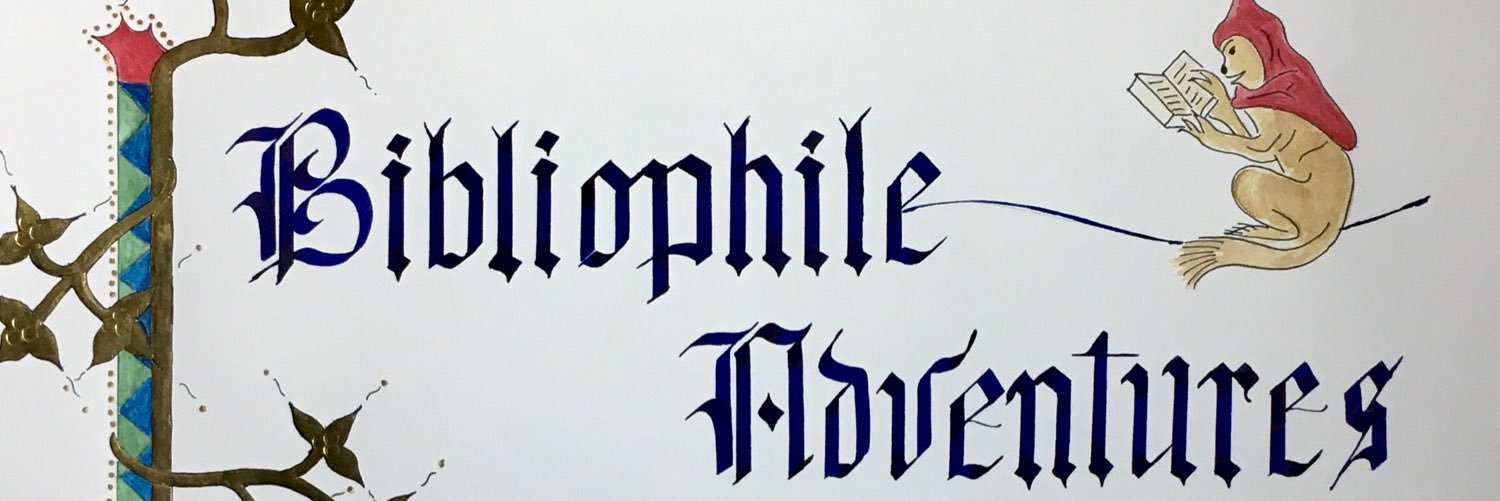 BiblioAdventure's profile banner image