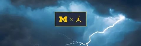 Amish_Wolverine banner