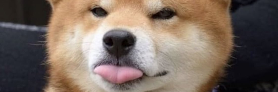 iwajade's profile banner image