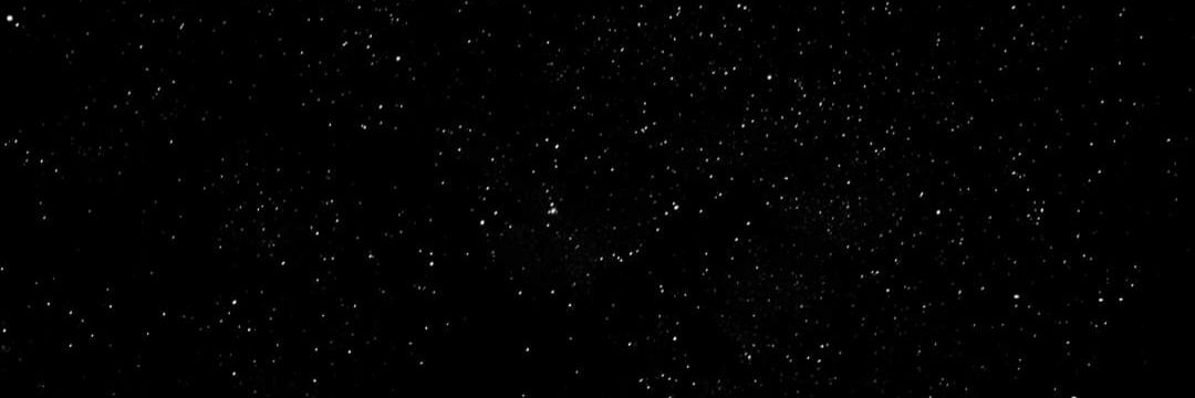 ImEXOGummyBear's profile banner image