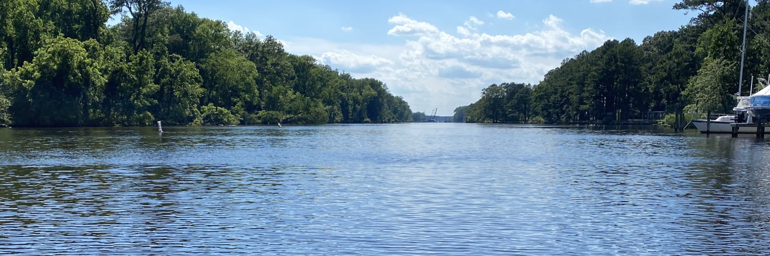 Lake Life banner