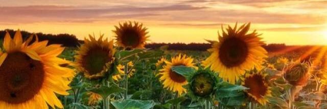 LeahBee_31's profile banner image