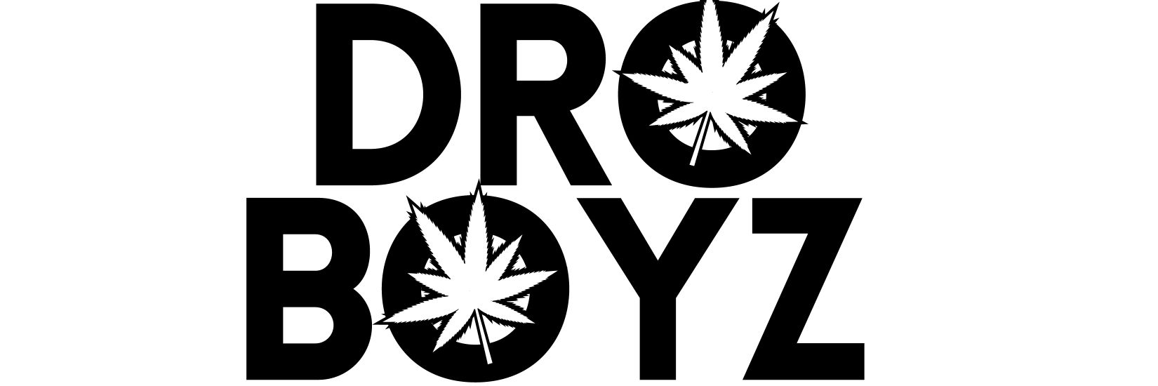 DroBoyCA's profile banner image