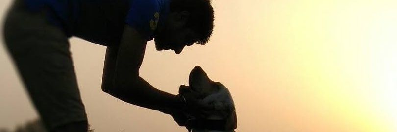 rishab_dang's profile banner image