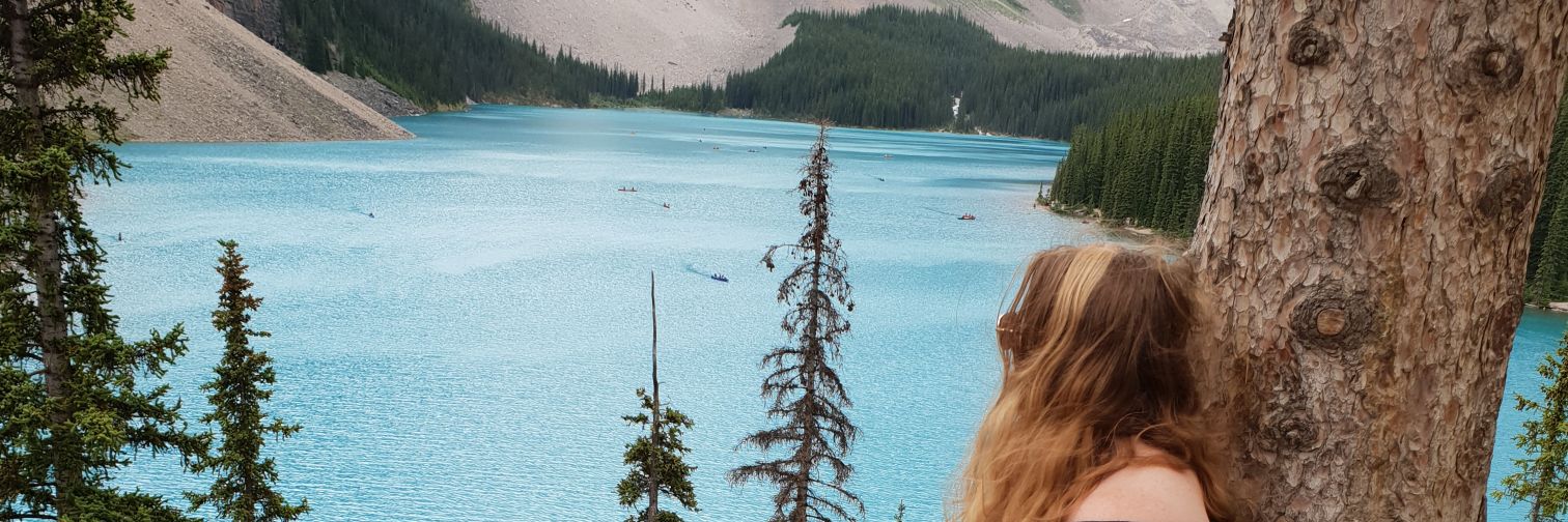 LisaEllicott's profile banner image