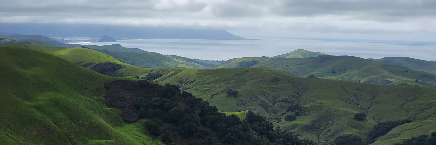 tlabanick's profile banner image