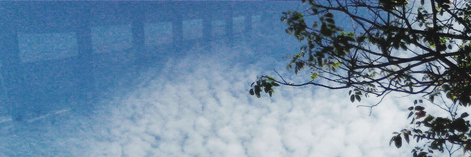 leviticuzzz's profile banner image