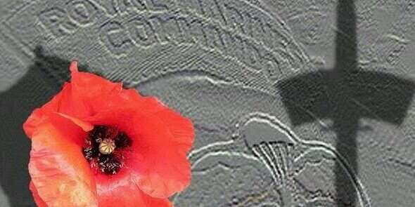 mandyk48's profile banner image