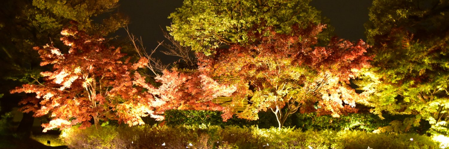 tmtsno0715's profile banner image
