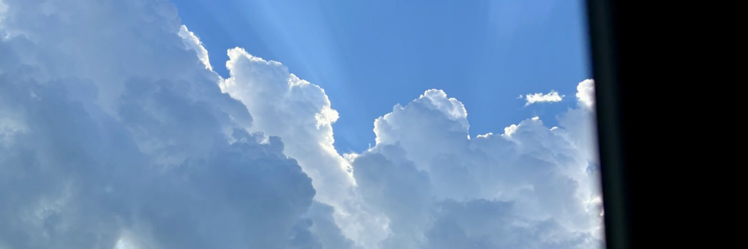 hollymims's profile banner image