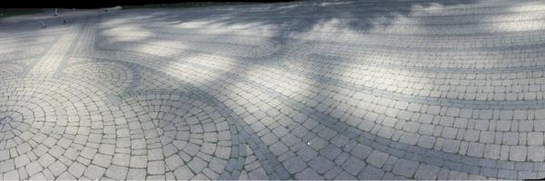 dmitchellYOW Profile Banner