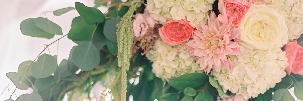 BellaFlora30's profile banner image