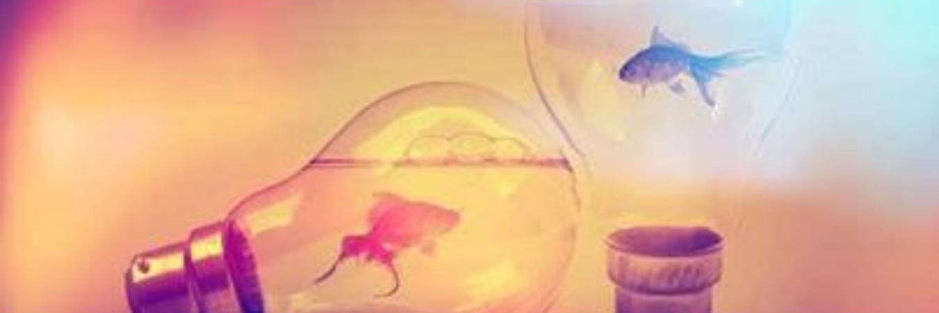 isabeltrao's profile banner image
