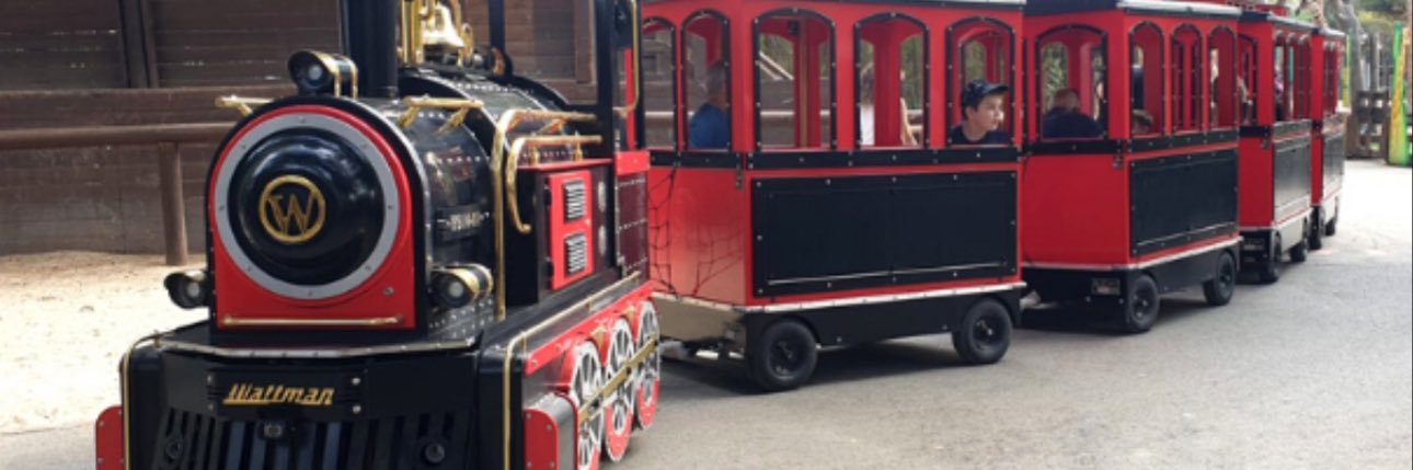 עזרא הסופר banner