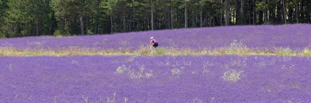 CyclingMargriet's profile banner image