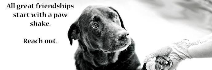 ScoutsRescue's profile banner image