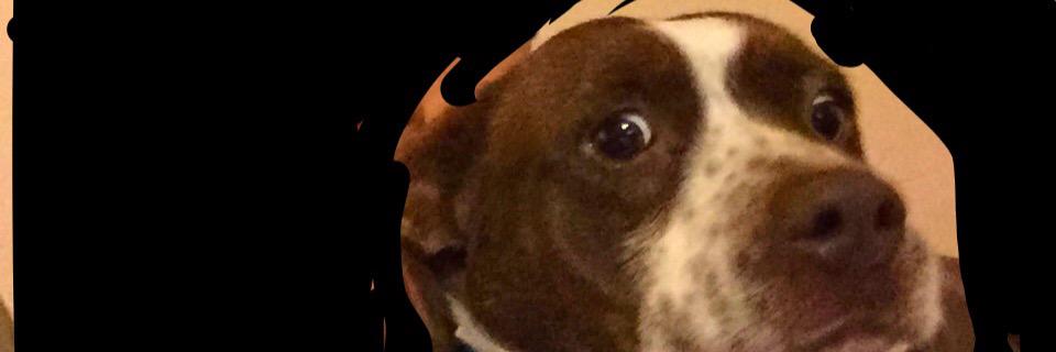 obrien_jaden's profile banner image
