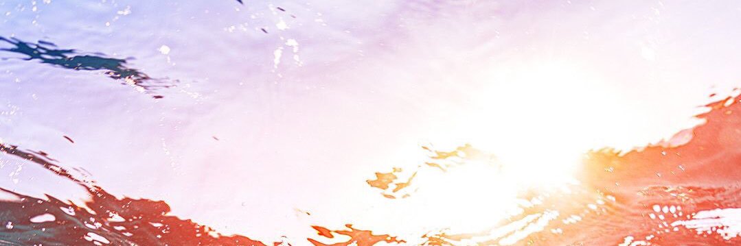 Tieger banner
