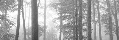 mm72_h's profile banner image
