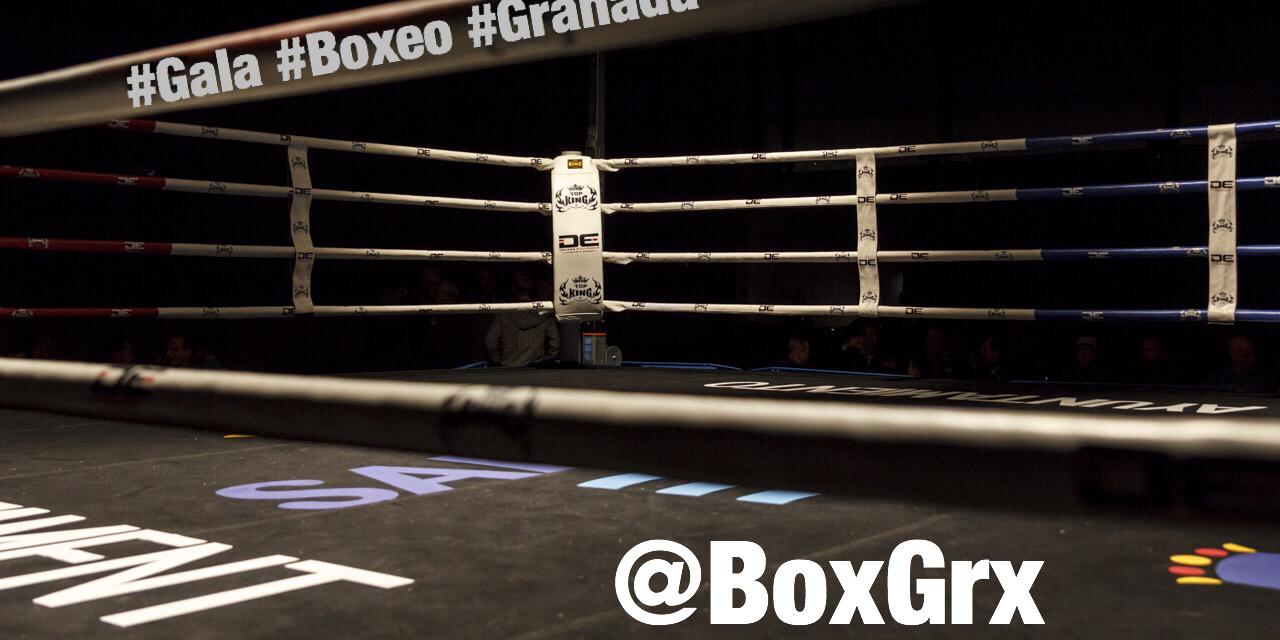 BoxGrx's profile banner image