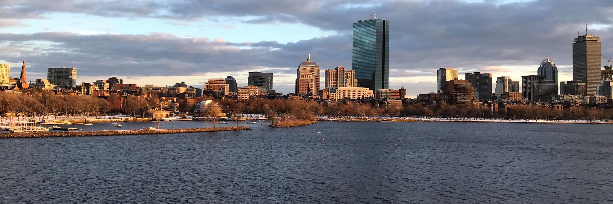 Stefano Spina banner