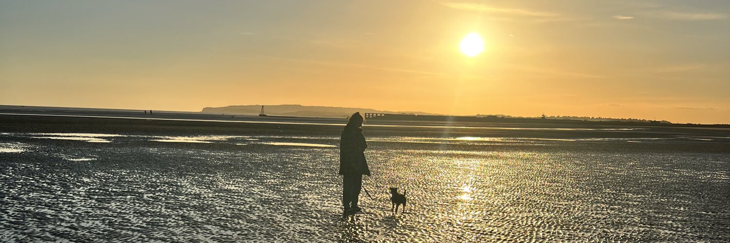 eloiseknight's profile banner image